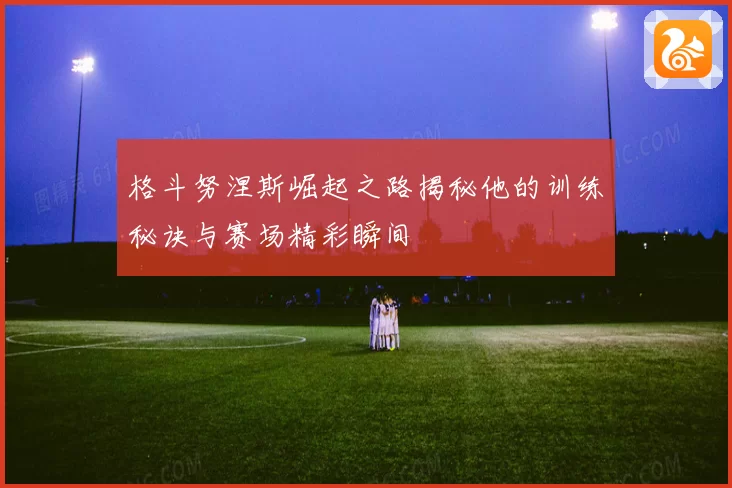 格斗努涅斯崛起之路揭秘他的训练秘诀与赛场精彩瞬间