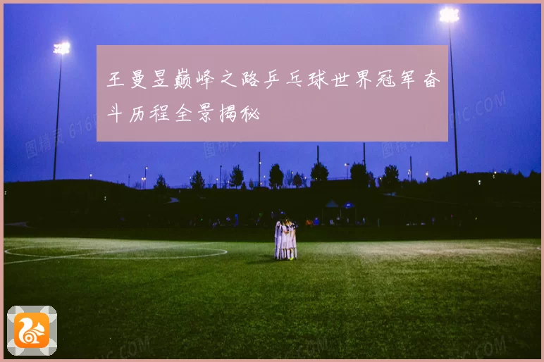 王曼昱巅峰之路乒乓球世界冠军奋斗历程全景揭秘