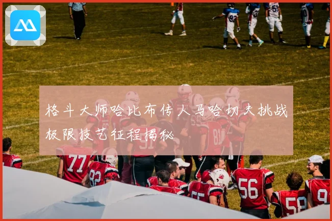 格斗大师哈比布传人马哈切夫挑战极限技艺征程揭秘