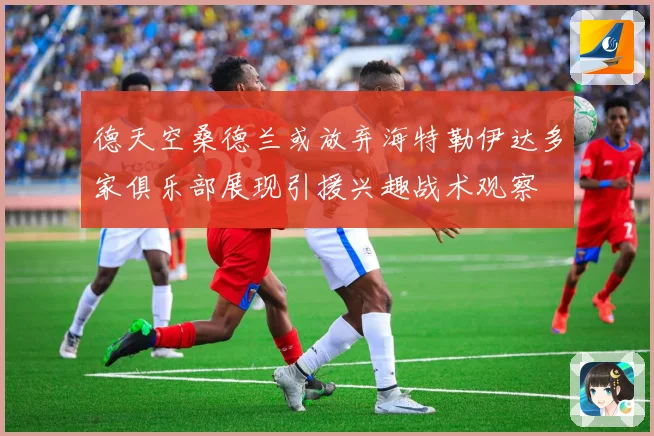 德天空桑德兰或放弃海特勒伊达多家俱乐部展现引援兴趣战术观察