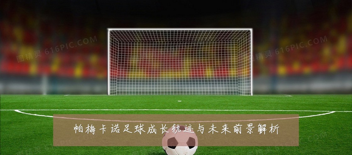 帕梅卡诺足球成长轨迹与未来前景解析