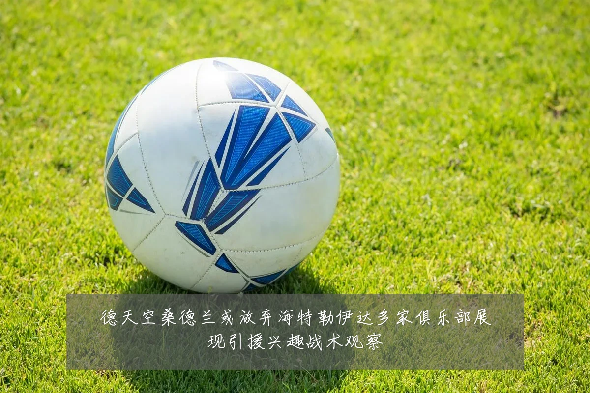 德天空桑德兰或放弃海特勒伊达多家俱乐部展现引援兴趣战术观察